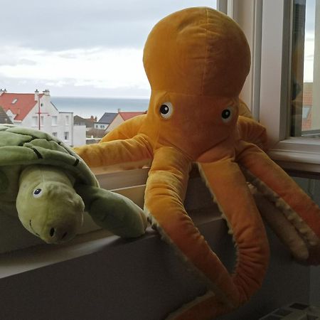 Detente Sur La Cote D'Opale Équihen-Plage 외부 사진